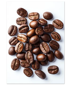 0697627a-5acf-47eb-b02e-625d44efe991